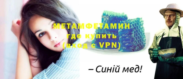прущие грибы Богданович