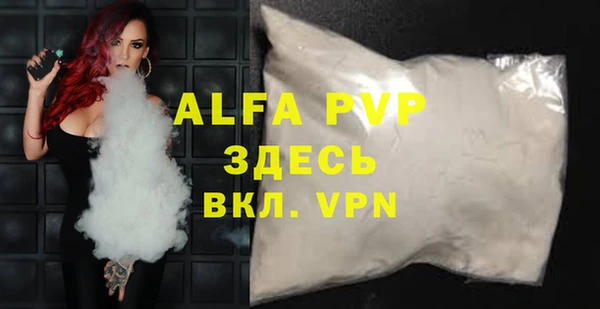 прущие грибы Богданович