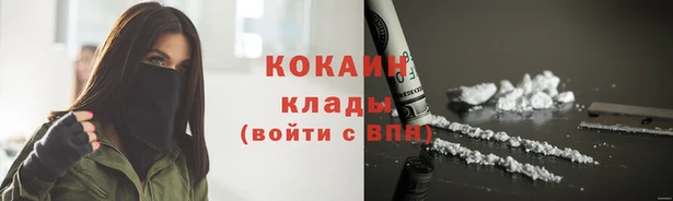 прущие грибы Богданович