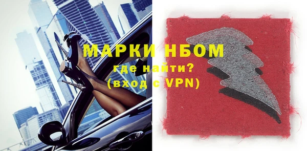 прущие грибы Богданович