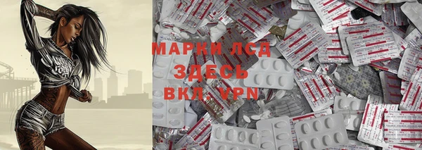 прущие грибы Богданович